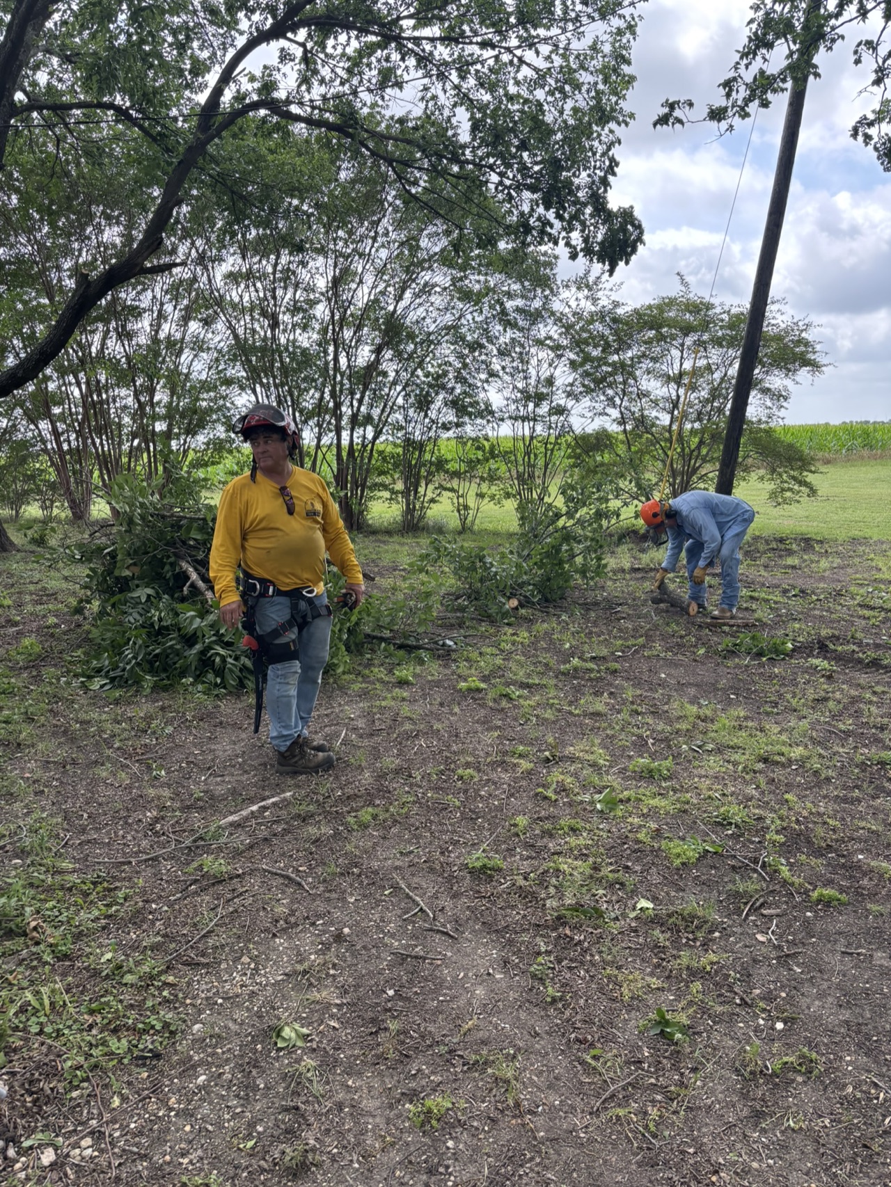 Texans on Mission chainsaw ministry volunteers clearing branches during the Brooks community service project.