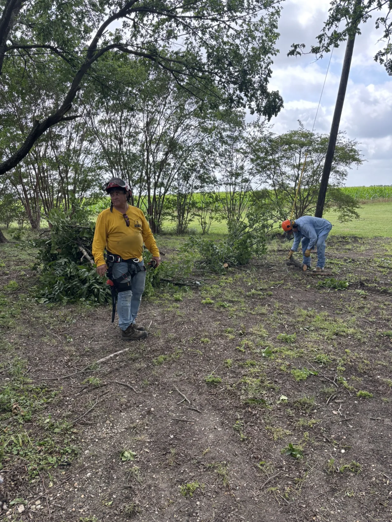 Texans on Mission chainsaw ministry volunteers clearing branches during the Brooks community service project.
