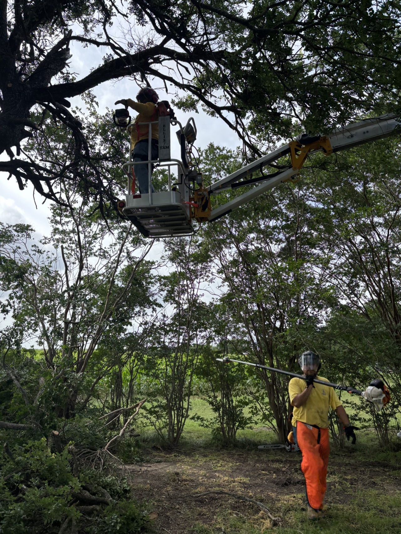 Chainsaw ministry volunteers using a lift to trim trees during the Brooks community service project.