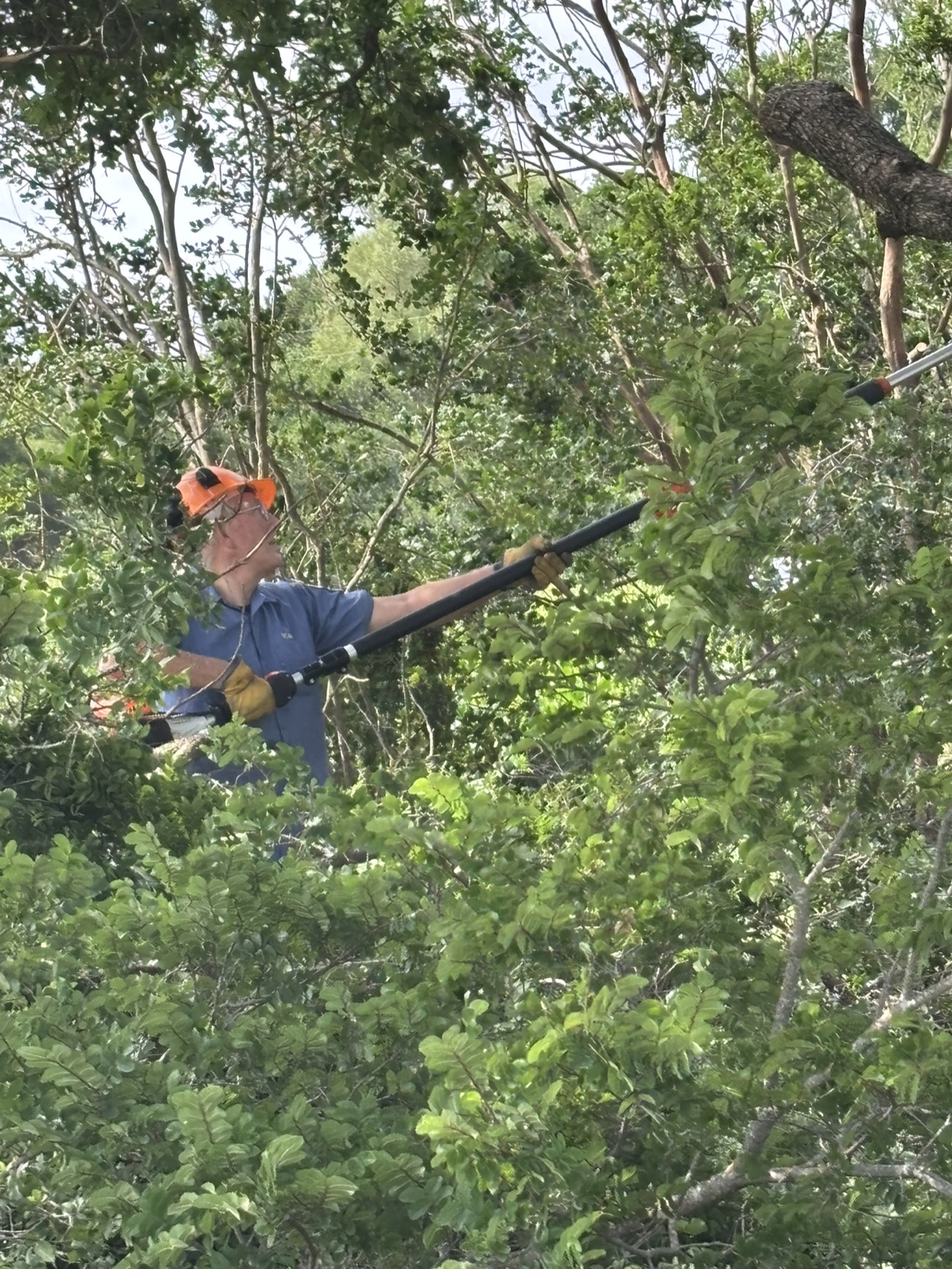 A chainsaw ministry volunteer cutting branches during the Brooks community service project.