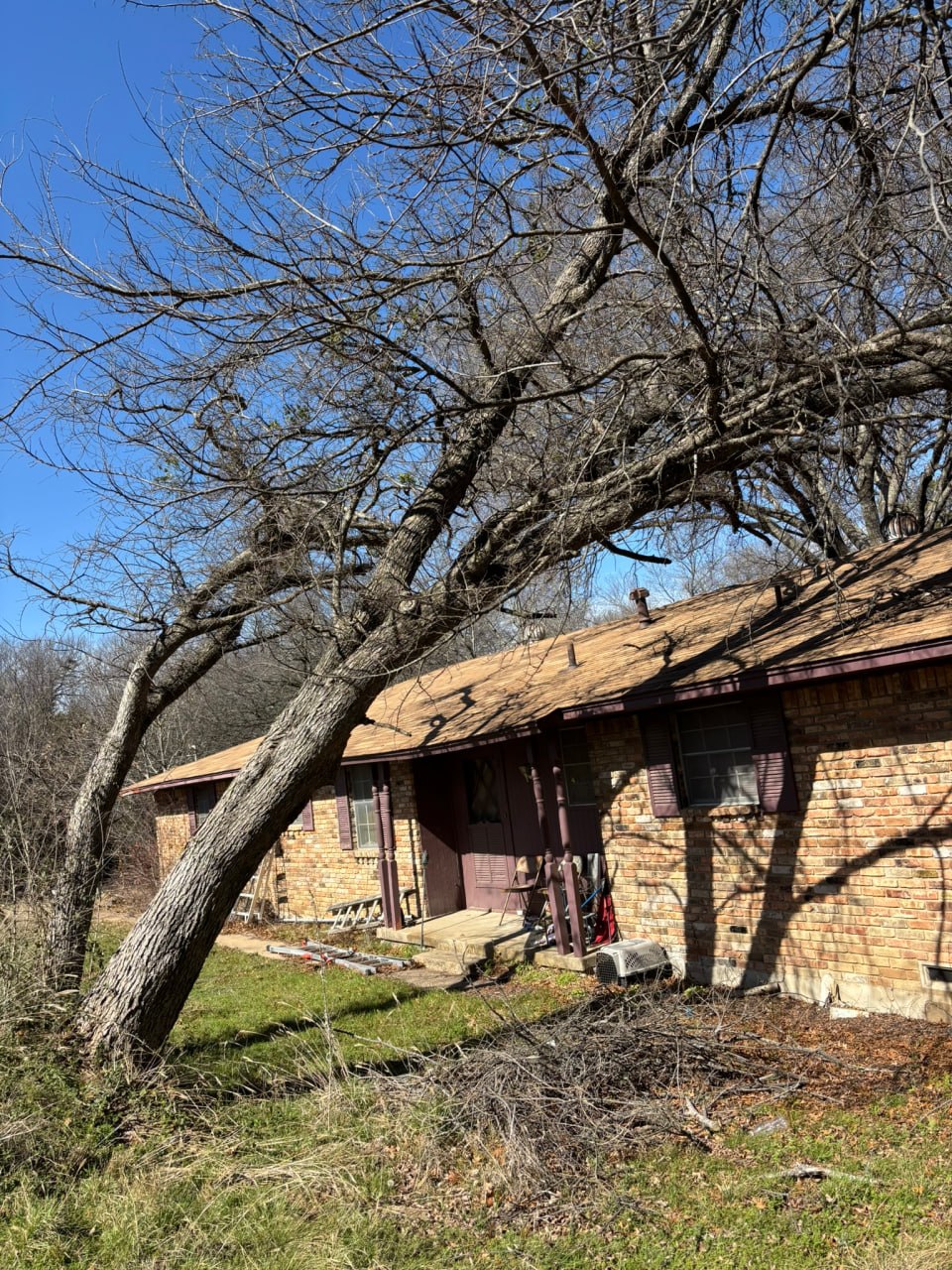 Leaning tree and branches over the roof before the Red Oak community service project.