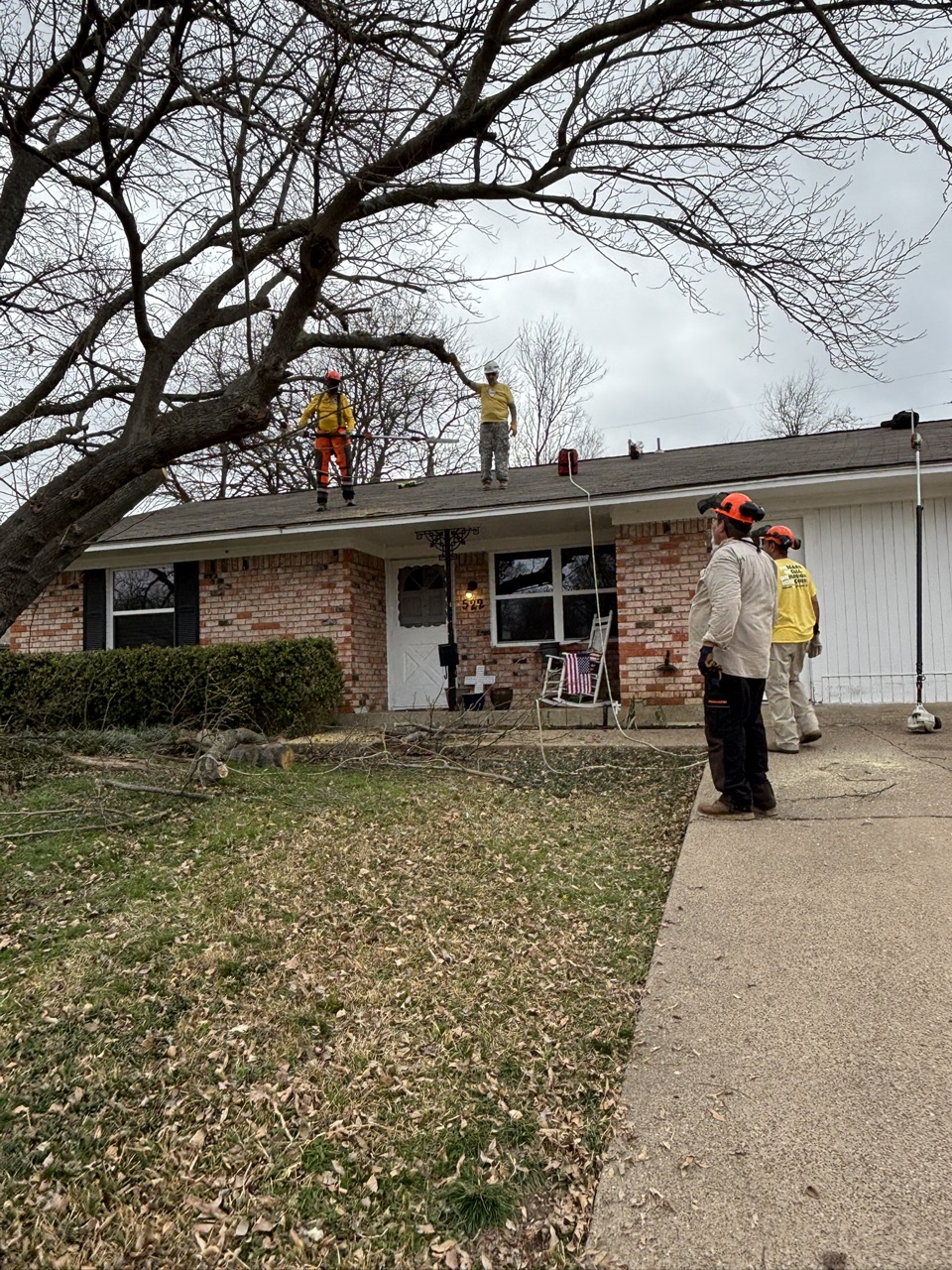 Cut branches and logs gathered along the curb during chainsaw ministry cleanup in Duncanville.