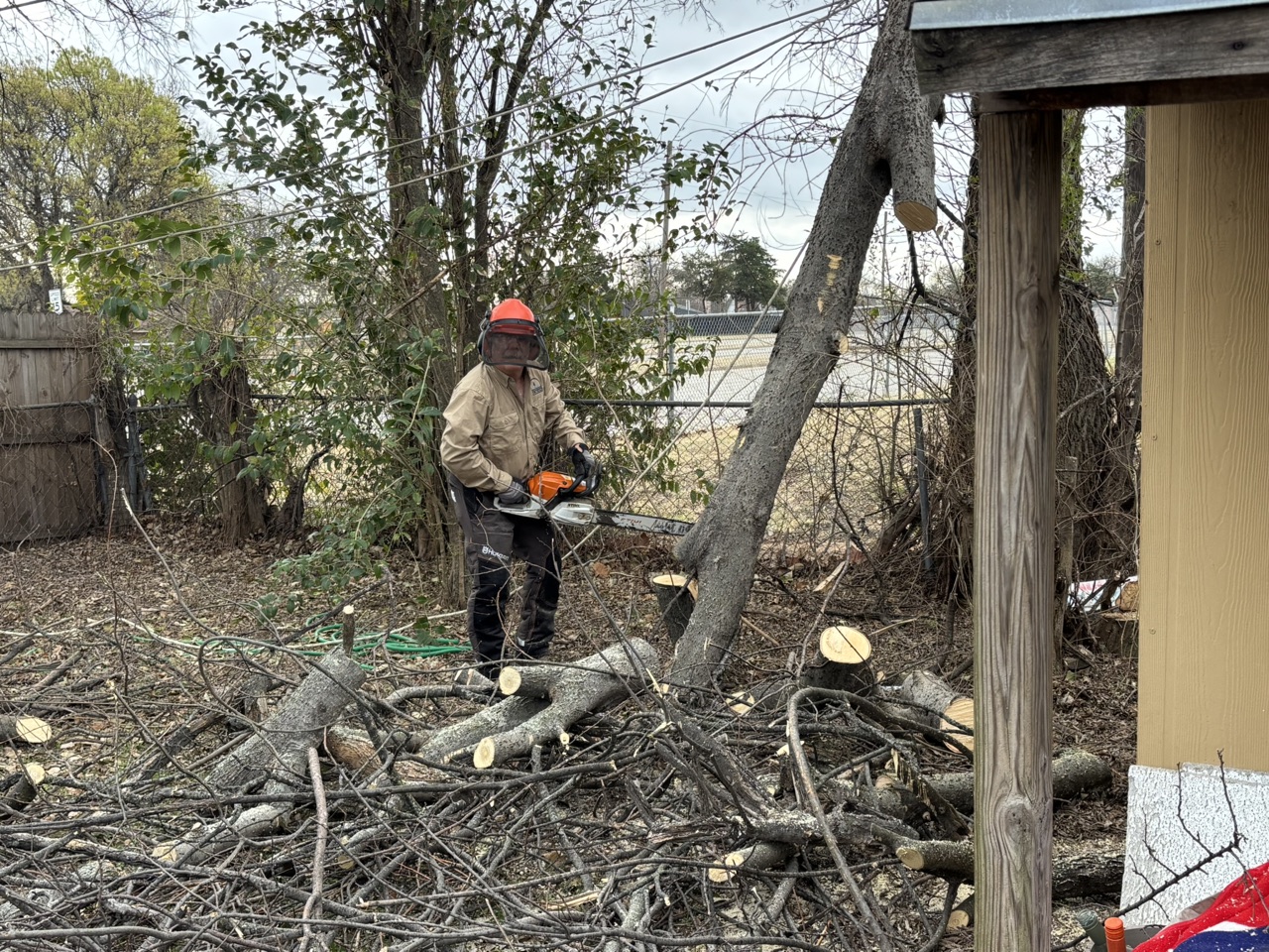 Chainsaw ministry team clearing brush and tree debris beside a backyard shed in Duncanville.