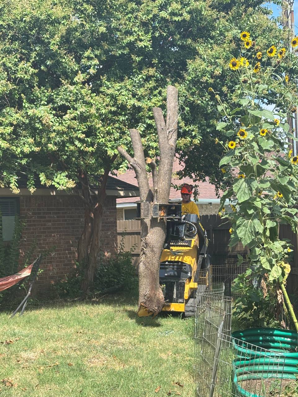 Mini skid steer carrying a large cut tree trunk through a backyard during the Roberts community service project.