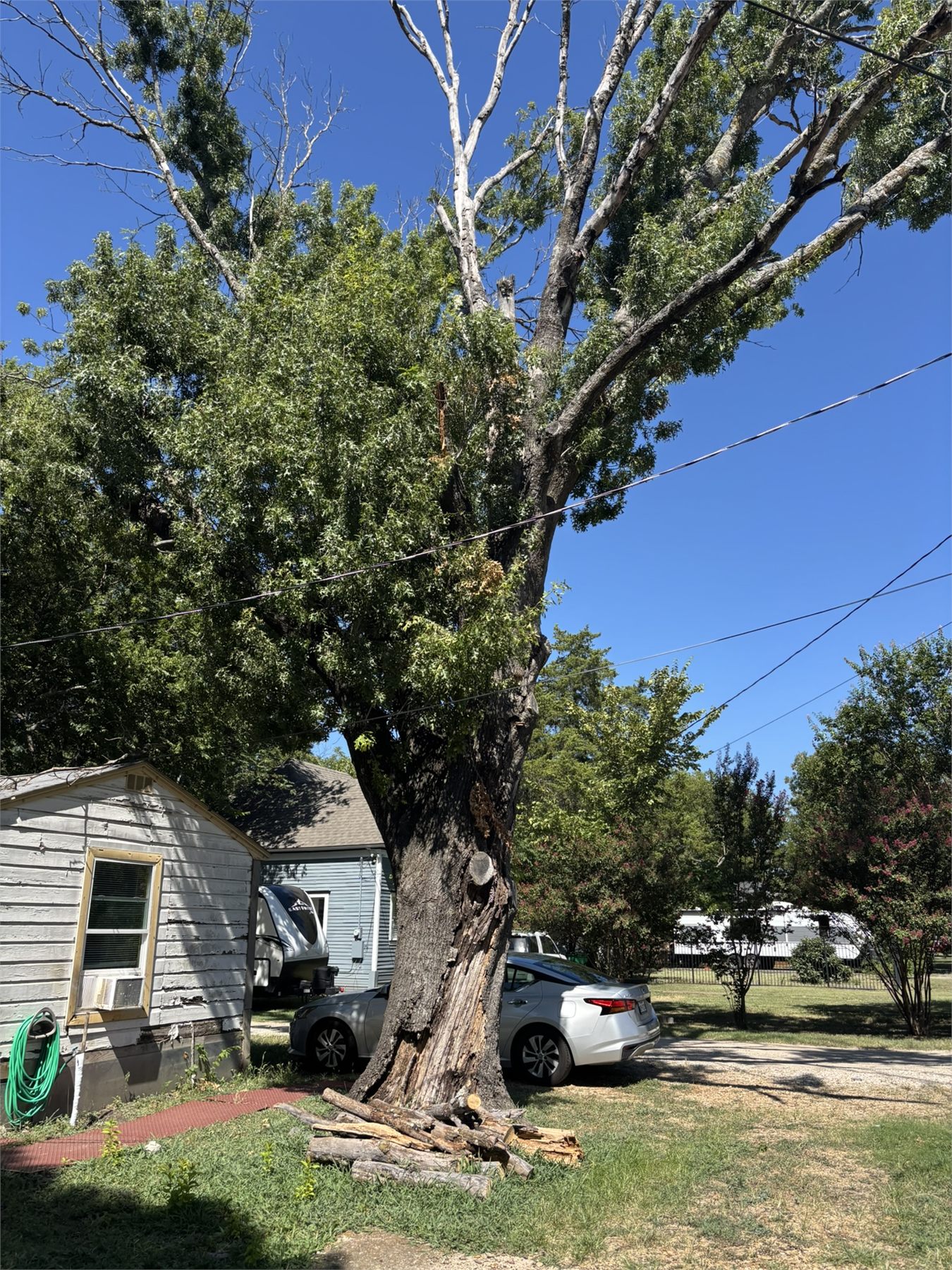 Large damaged tree beside a Waxahachie home before chainsaw ministry work.