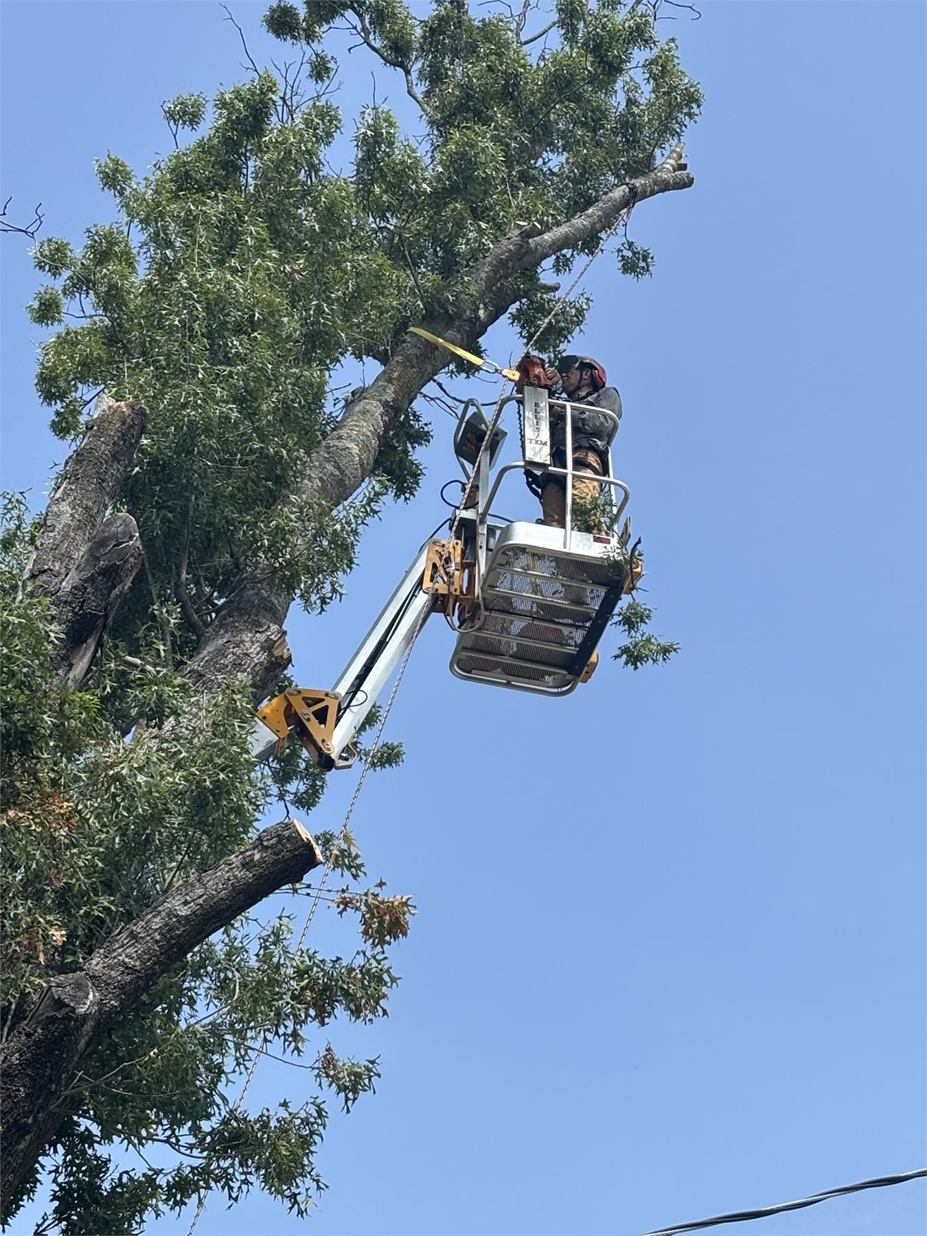 Chainsaw ministry volunteer cuts a large tree limb from a raised lift in Waxahachie.