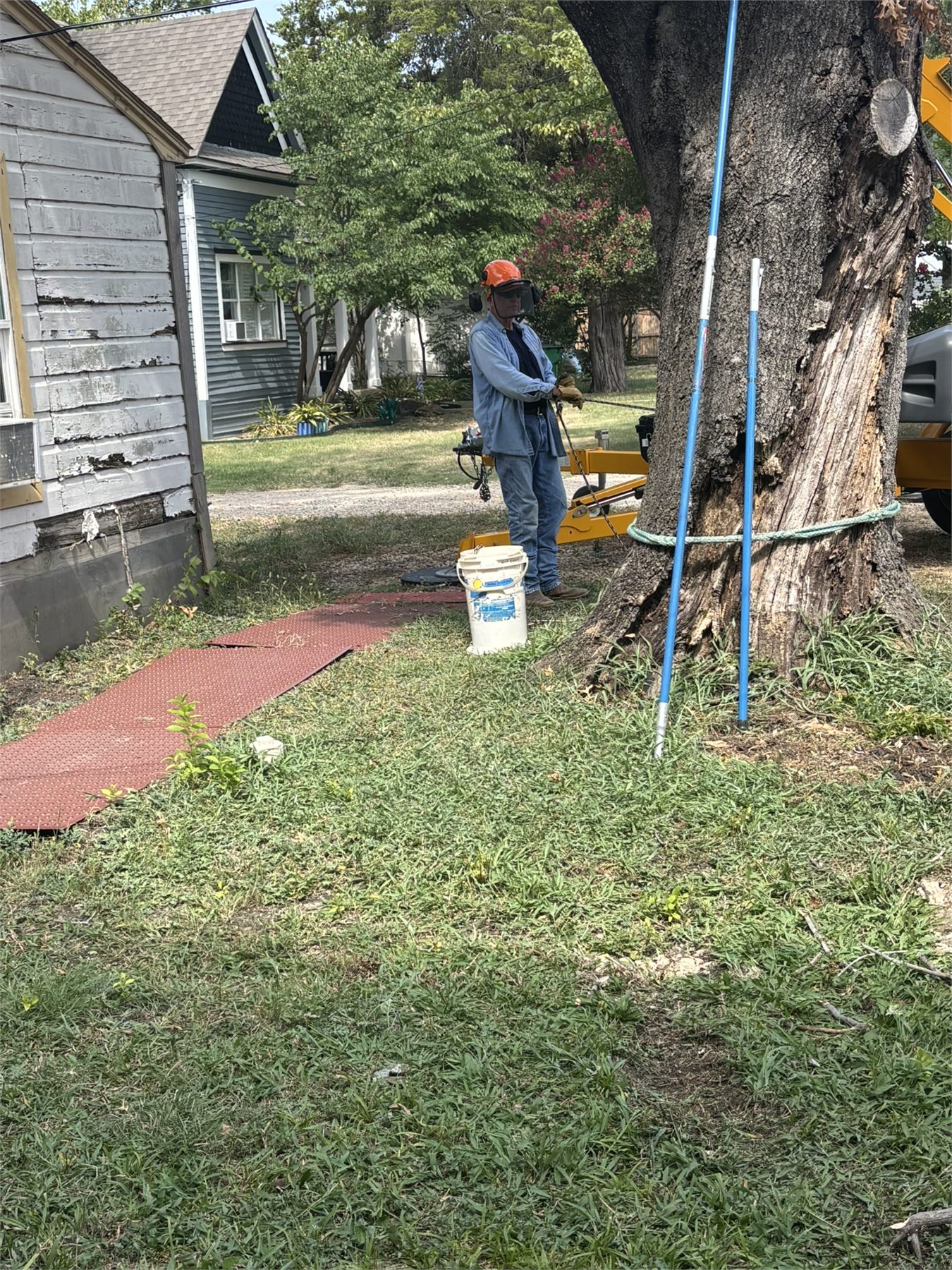 Volunteer manages rigging beside the damaged tree during the Waxahachie community service project.