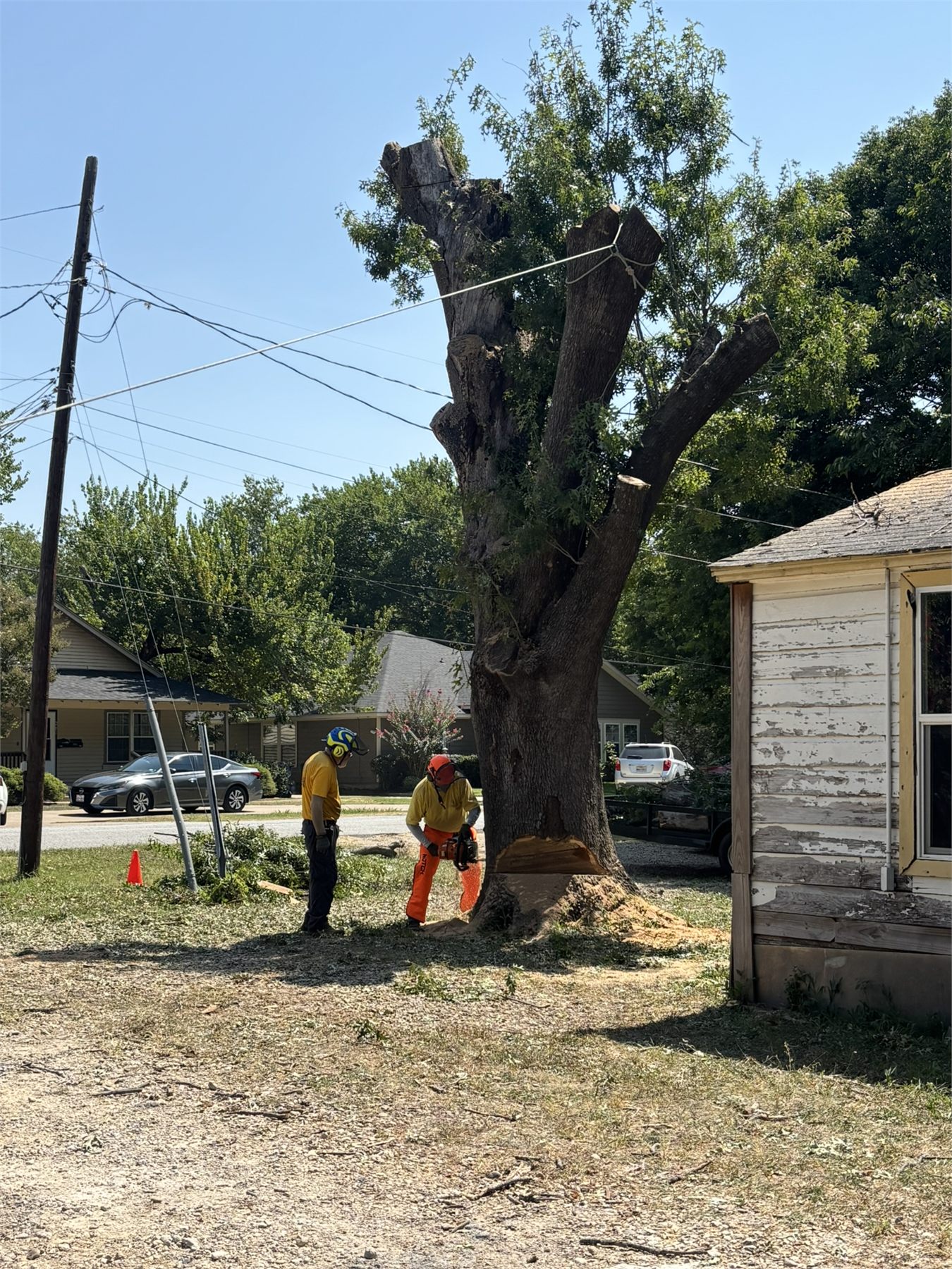 Two chainsaw ministry volunteers work at the base of a heavily trimmed tree in Waxahachie.