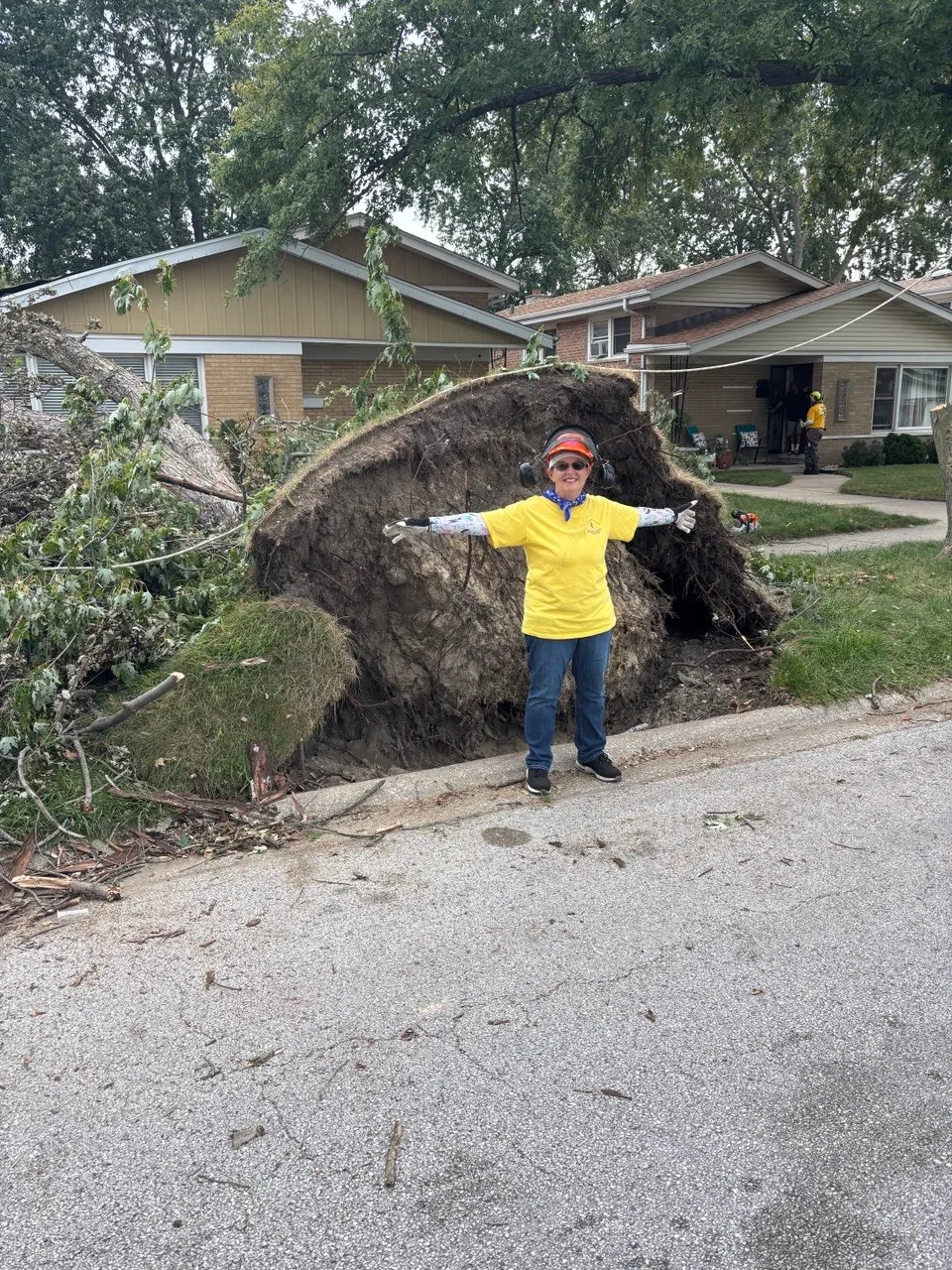 ECDR volunteer standing in front of the exposed root ball of a large storm-uprooted tree.