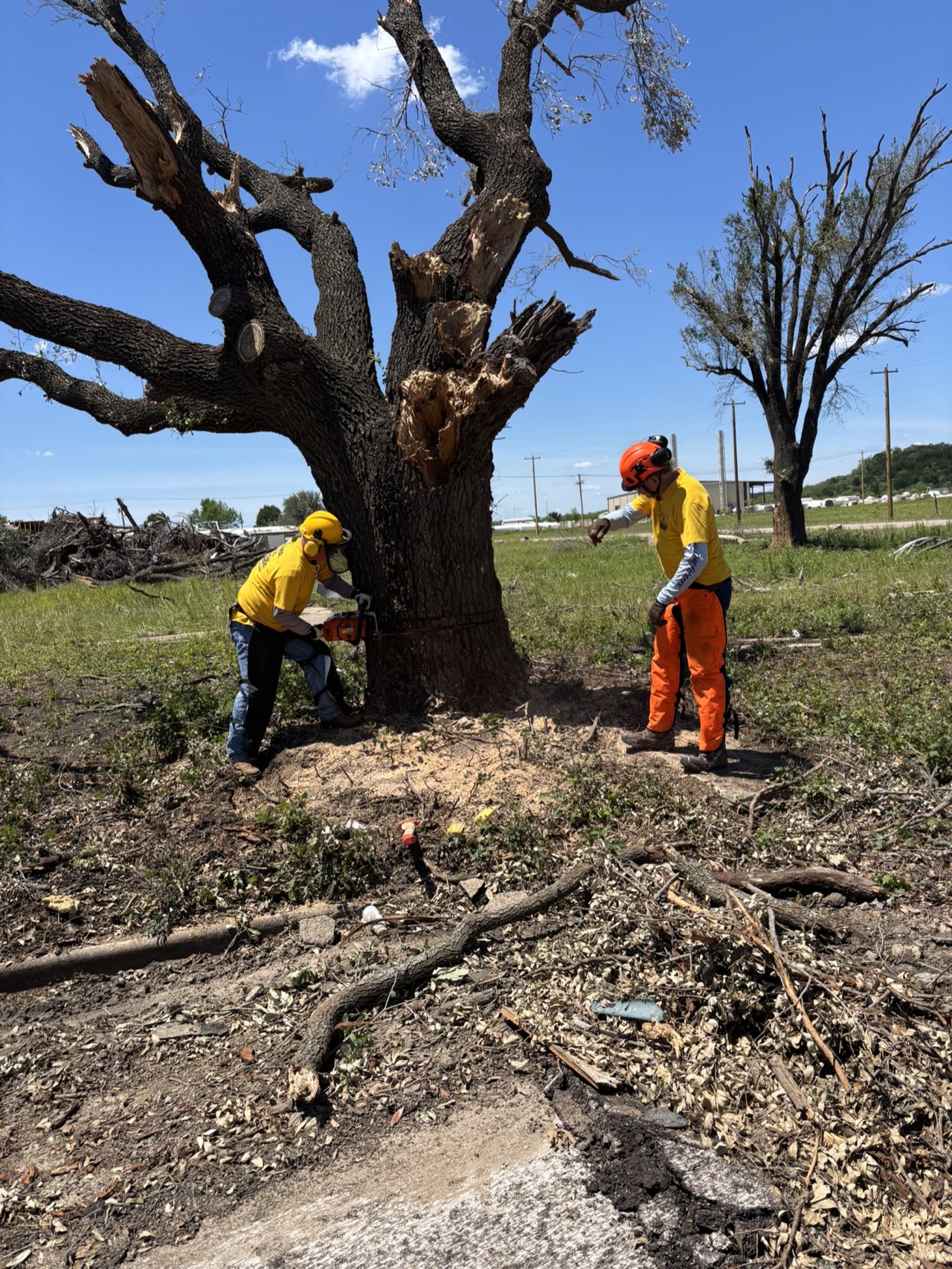 Chainsaw ministry volunteers cutting a storm-damaged tree during the Mineral Wells deployment.