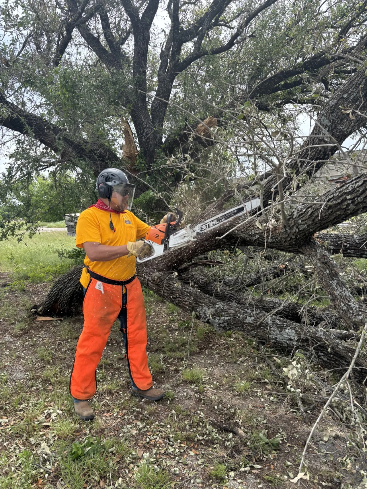 A Texans On Mission volunteer cutting storm-damaged branches in Mineral Wells.