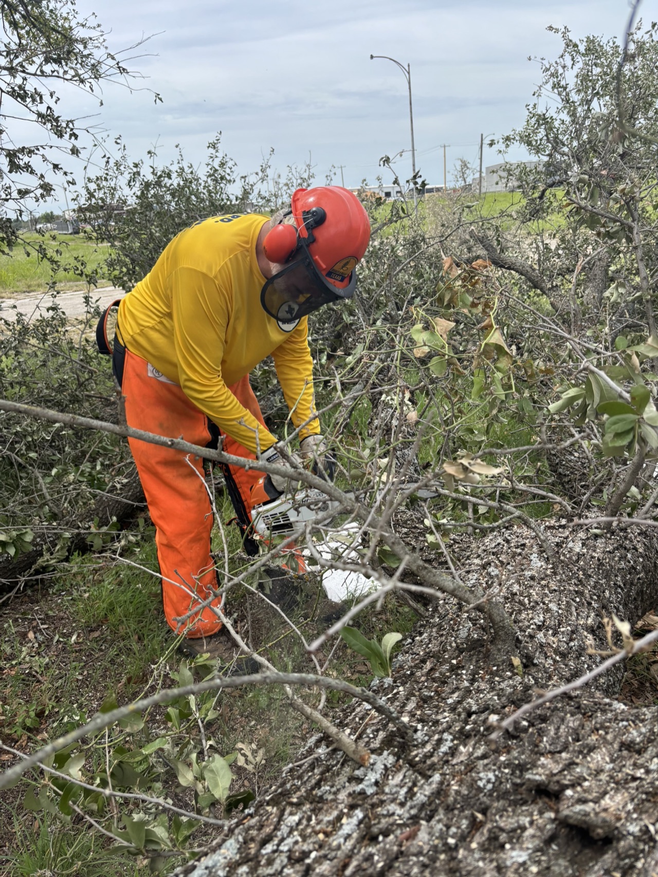Chainsaw ministry volunteers removing storm-damaged trees during the Mineral Wells deployment.