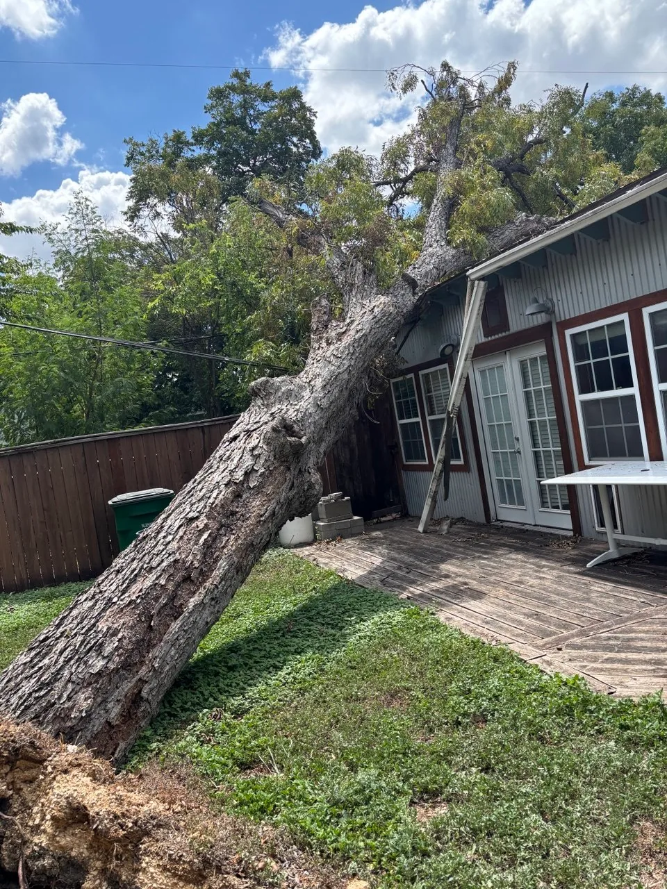 Large storm-damaged tree leaning against the roof of a San Antonio home.